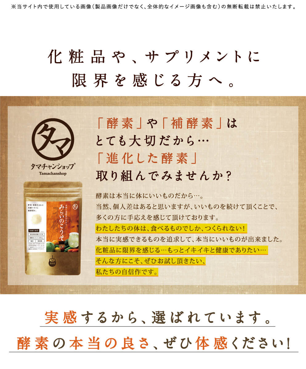 みらいのこうそ