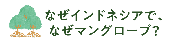 なぜインドネシアで、なぜマングローブ？